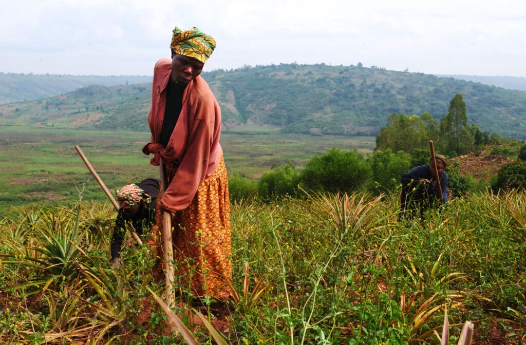 Agro Sourcing Agriculture Biologique