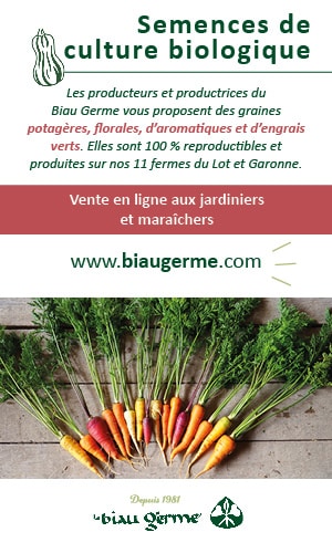 Biau Germe (pavé)